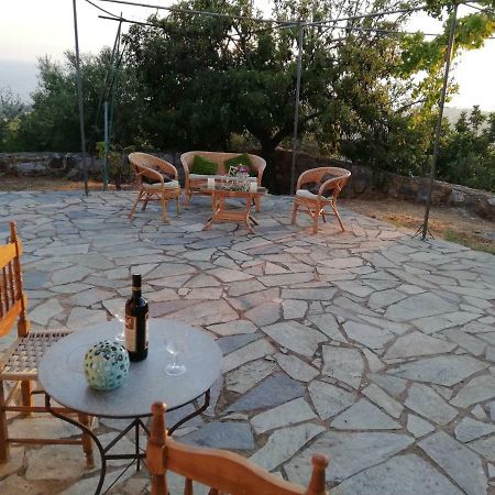 Theasea House With Garden Apartment Riglia Exterior photo