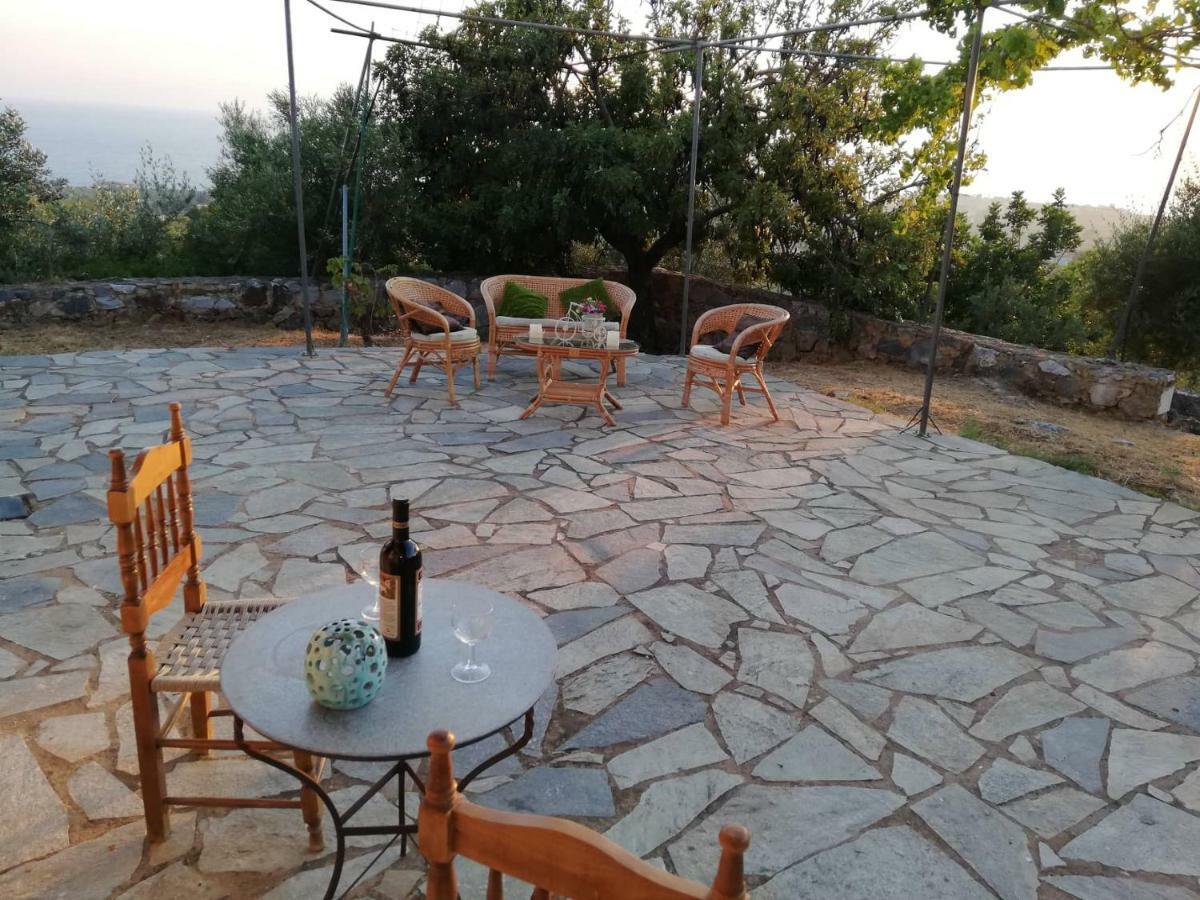 Theasea House With Garden Apartment Riglia Exterior photo